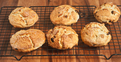 Irish raisin scones cooling on a wire cooling rack, sitting on a wooden cutting board 