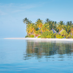 Angaga. Ari Atoll. Tropical island in the Indian Ocean. White sand beach. Tropical palm trees.