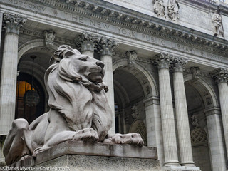 New York Library Lion