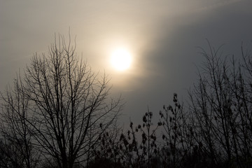 Fototapeta premium Sonne hinter Wolken
