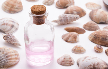 Perfume bottle and sea shells