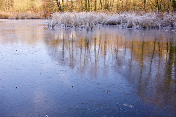 Winterlandschaft: Zugefrorener See mit Reflektionen und Textfreiraum