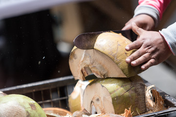 cutting a coconut with machete in Ecuador - obrazy, fototapety, plakaty