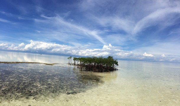 Beautiful View from Virgin Island in Panglao