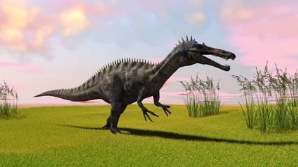 Tableaux ronds sur aluminium Dinosaures 3d illustration of the suchomimus dinosaurus