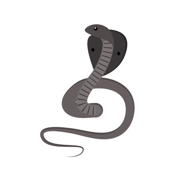 Cobra snake vector