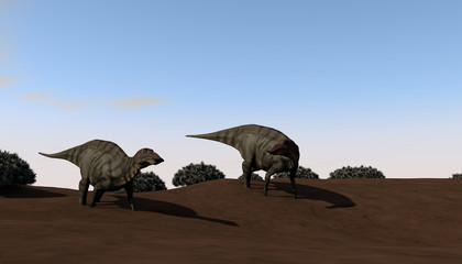 Fototapeta premium 3d illustration of the grazing shuangmiaosaurus