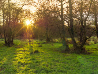 Northern Ireland countryside morning sunrise