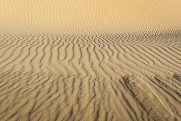 Fototapeta premium Pattern of sand dune of Maranjab Desert in Iran