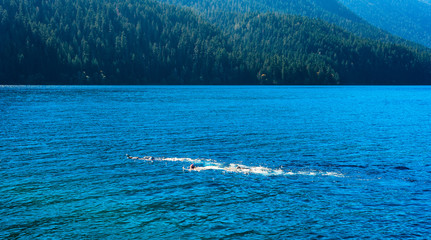 Crescent Lake in Washington with snorkelers under the surface