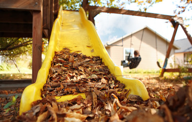 Slide full of fallen leaves with a boy swinging in the backgroun