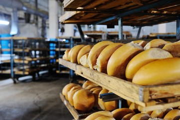 many loaves of fresh bread on a shelf in a bakery