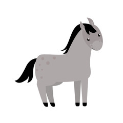 Horse breed vector.