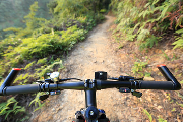 Naklejka na ściany i meble riding mountain bike at sunrise forest trail