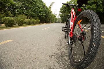 riding bike on forest trail