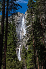 Waterfall in Yosemite, California