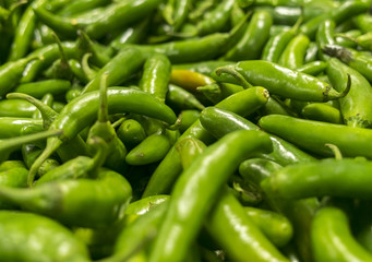 Green organic serrano pepper background
