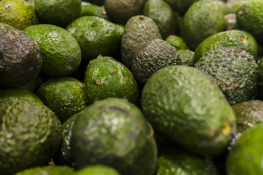 Organic fresh green avocados at a farmer’s market. 
