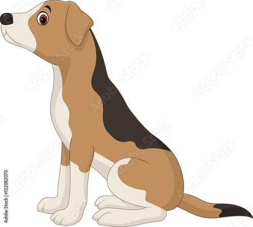 "Dog sitting isolated on white background " Stock image and royalty