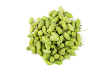 Fresh raw garbanzo beans in the pod isolated on a white background