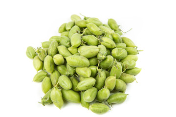 Fresh raw garbanzo beans in the pod isolated on a white background