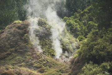Fototapeta na wymiar New Zealand Geothermal volcanic