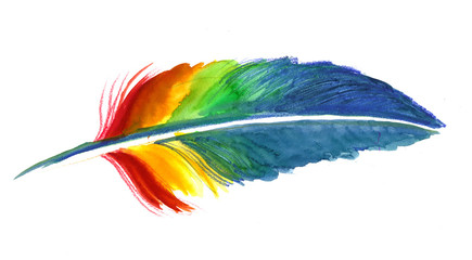 Rainbow feather © berdsigns