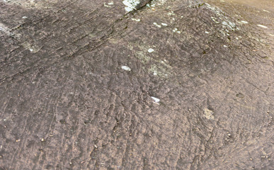gray stone texture background