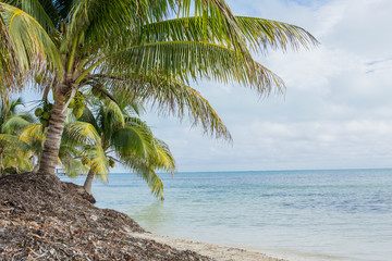 Belize Landscape