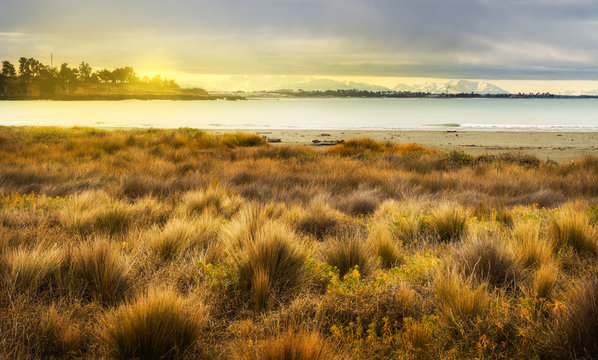 Golden meadow at sunset