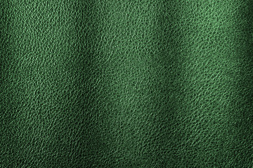 Green leather texture, leather background for design with copy space for text or image. Pattern of leather that occurs natural.