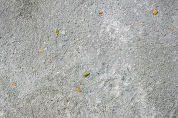 Close up Abstract small stone concrete cement floor texture background