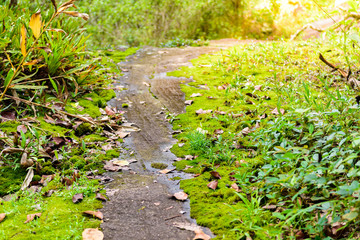 Obraz premium Phu Hin Rong Kla National Park, Phitsanulok Province