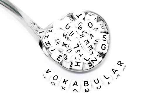 Vokabular