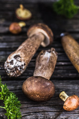 Porcini and Slippery Jack Mushrooms