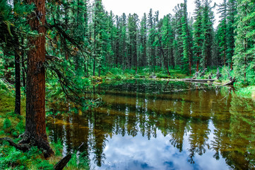 Russia. My travel and adventures across Siberia. Mountain Altai, country of shamans and legends. Alpine meadows, pure mountain river, lakes, falls...