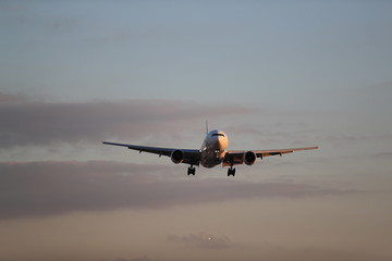 飛行機