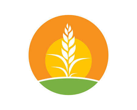 wheat harvest icon
