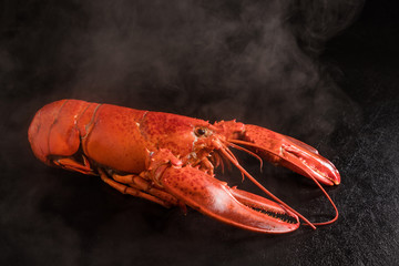 高級ロブスター　 High-quality lobster