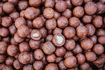 Macadamia nuts.