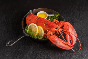 高級ロブスター　 High-quality lobster