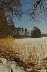 Zima na Mazurach - jezioro i las