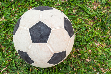  football  on the green fields