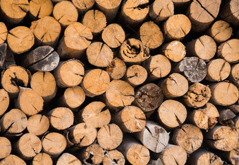 Timbers for making fuel i the winter time