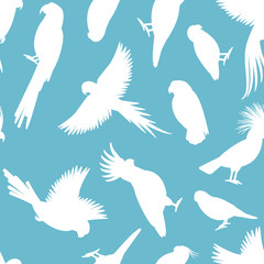 Birds vector pattern. White parrots silhouettes on light blue background
