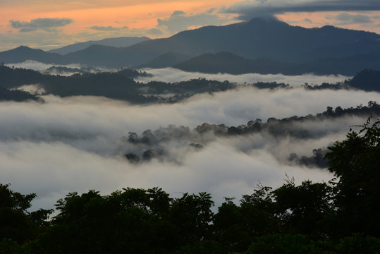 Fototapeta Sunrise scenery over Danum Valley Conservation Area in Lahad Datu, Sabah Borneo, Malaysia. 