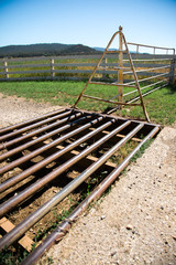 Cattle Grid