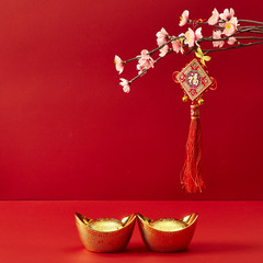 chinese new year decoration