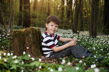 little boy in forest on flowers field