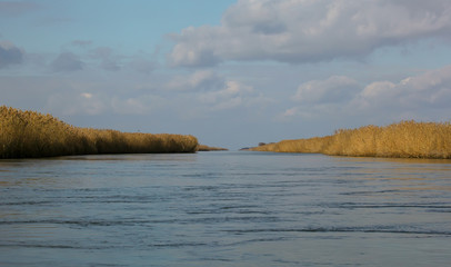Осень в Дельте Волги, Астрахань, Россия  © as_trofey
